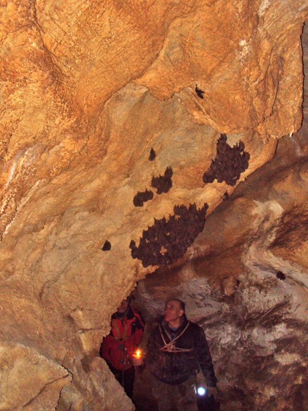 Реферат: Пещера