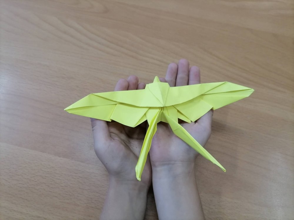 Мастер класс по созданию ласточки оригами » Путь Оригами